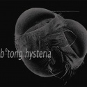 b°tong — hysteria Cover Art