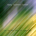 Wacky Southern Current — Like The Wind Within The Hollow Tree Cover Art