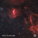 Speck — You Are Alone Cover Art