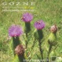 gozne — sol ep Cover Art