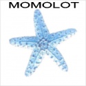 Momolot — Momolot (Wodny) Cover Art