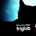 Friglob — Life is inna riddim  Cover Art
