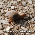 Various Artists — Another Day, Another Way Cover Art