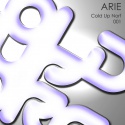 Arie — Cold Up Norf  Cover Art