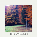Various Artists — Hidden Vibes Vol. 1 Cover Art