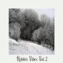 Various Artists — Hidden Vibes Vol. 2 Cover Art