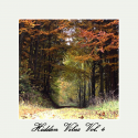 Various Artists — Hidden Vibes Vol. 4 Cover Art