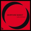 Morphine Bandit — Subtle Shift Theory Cover Art