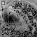 gblanco — embrionario ep Cover Art