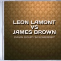 Leon Lamont vs James Brown — Damn Right I&#039;m Somebody Cover Art