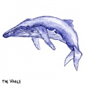 R. Lobster — The Whale Cover Art