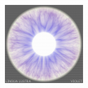Lingua Lustra — Violet Cover Art