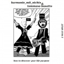 harmonie_mit_nichts + Tommaso Busatto — How to discover your life purpose Cover Art
