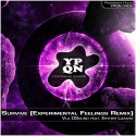 Vla Dsound — Esther Lazaro - Survive (Experimental Feelings Remix) Cover Art