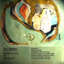 Dj Seiss — Road to you ep  Cover Art
