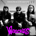 Wasones — Camino Hacia La Desaparición Cover Art