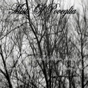 Mists Of Poveglia — Disillusioned - I Stand In Winter Mine Ist  Cover Art
