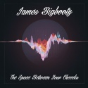 James Bigbooty — The Space Between Your Cheeks Cover Art