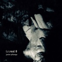 Javier Piñango — I​.​r​.​real 8 Cover Art