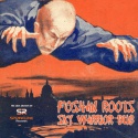 Foshan Roots — Sky Warrior Dub Cover Art