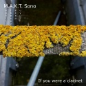 M.A.K.T. Sono — If you were a clarinet Cover Art