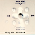 SMELLY FISH — Soundflash Cover Art