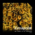 Zenapolæ — 20 Years in 4T Minutes Cover Art