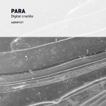PARA — Digital Crackle Ep Cover Art