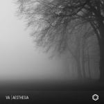 Various Artists — Aesthesia  Cover Art