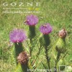 gozne — sol ep Cover Art
