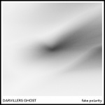 Darvillers Ghost — Fake Polarity Cover Art