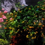 Violeta Päivänkakkara — kukkia Cover Art