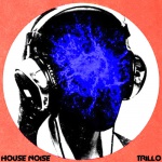 Trillo Gunter — House Noise Cover Art