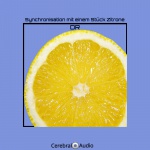 DR — Synchronisation mit einem Stück Zitrone Cover Art