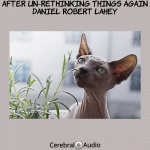Daniel Robert Lahey — After Un-Rethinking Things Again Cover Art