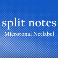 split-notes Logotype