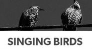 Singing Birds Logotype